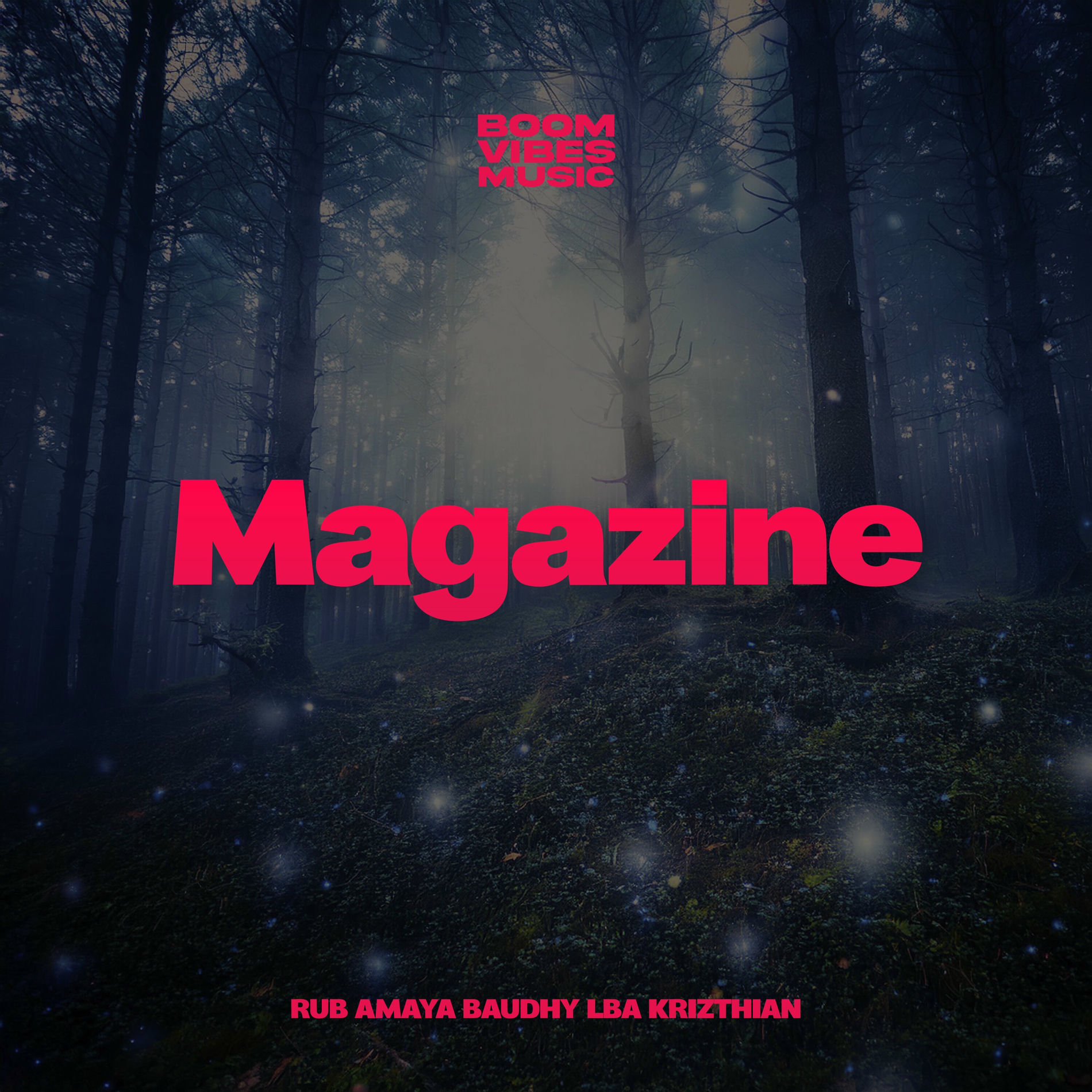 Album cover of Magazine