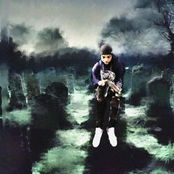 Cover of SAY M5