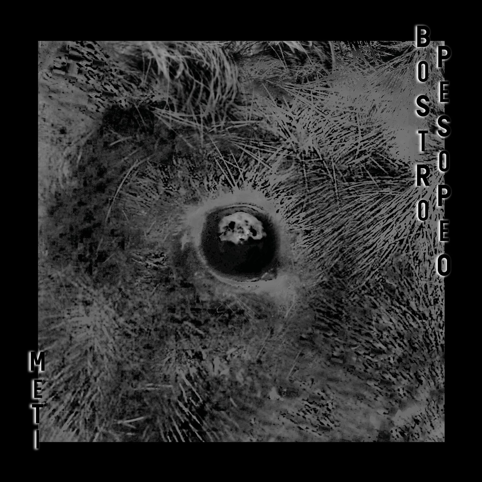 Album cover of Meti