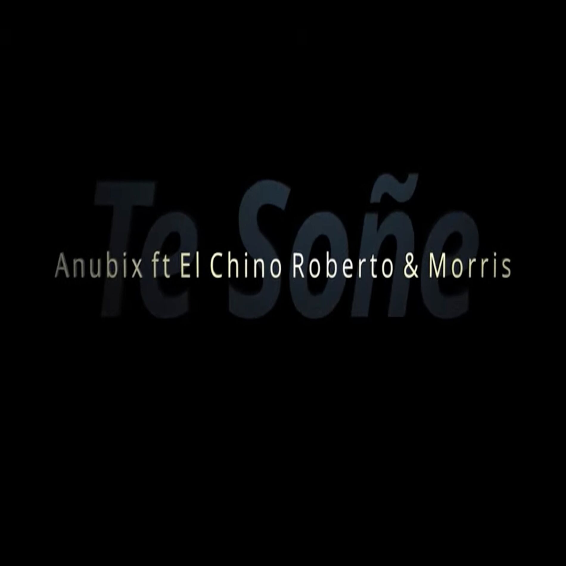 Album cover of Te Soñe