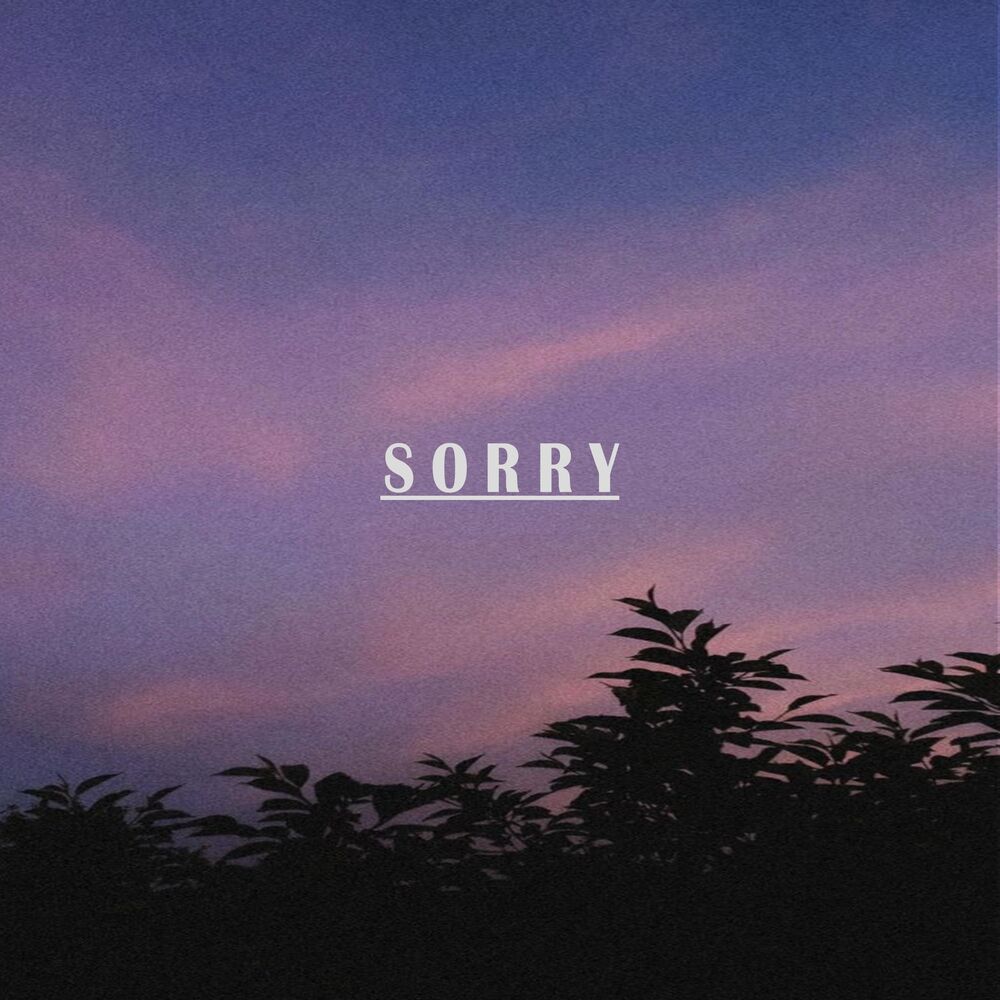 Picture of Sorry