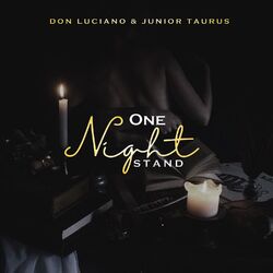 Cover of One Night Stand
