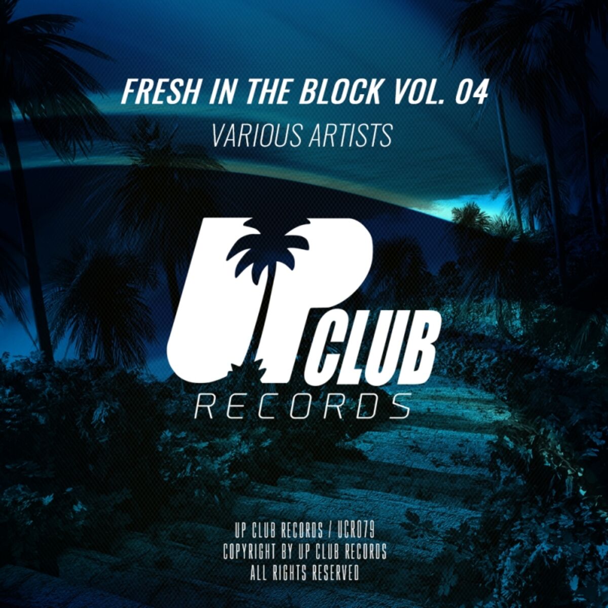 Album cover of Fresh In The Block, Vol. 4
