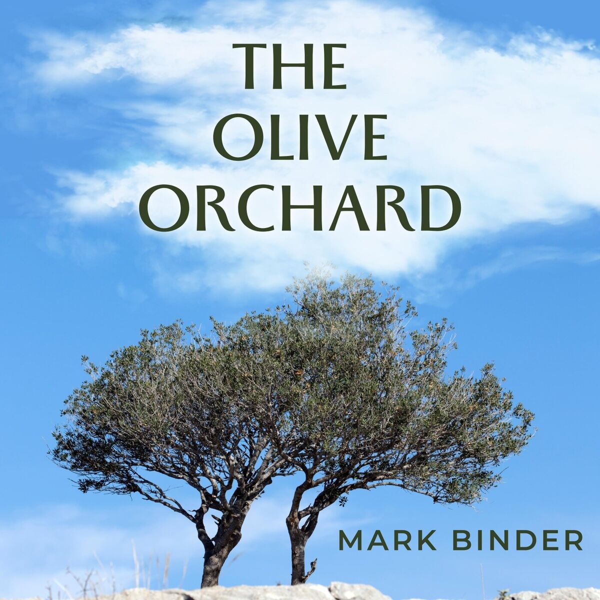 Album cover of The Olive Orchard