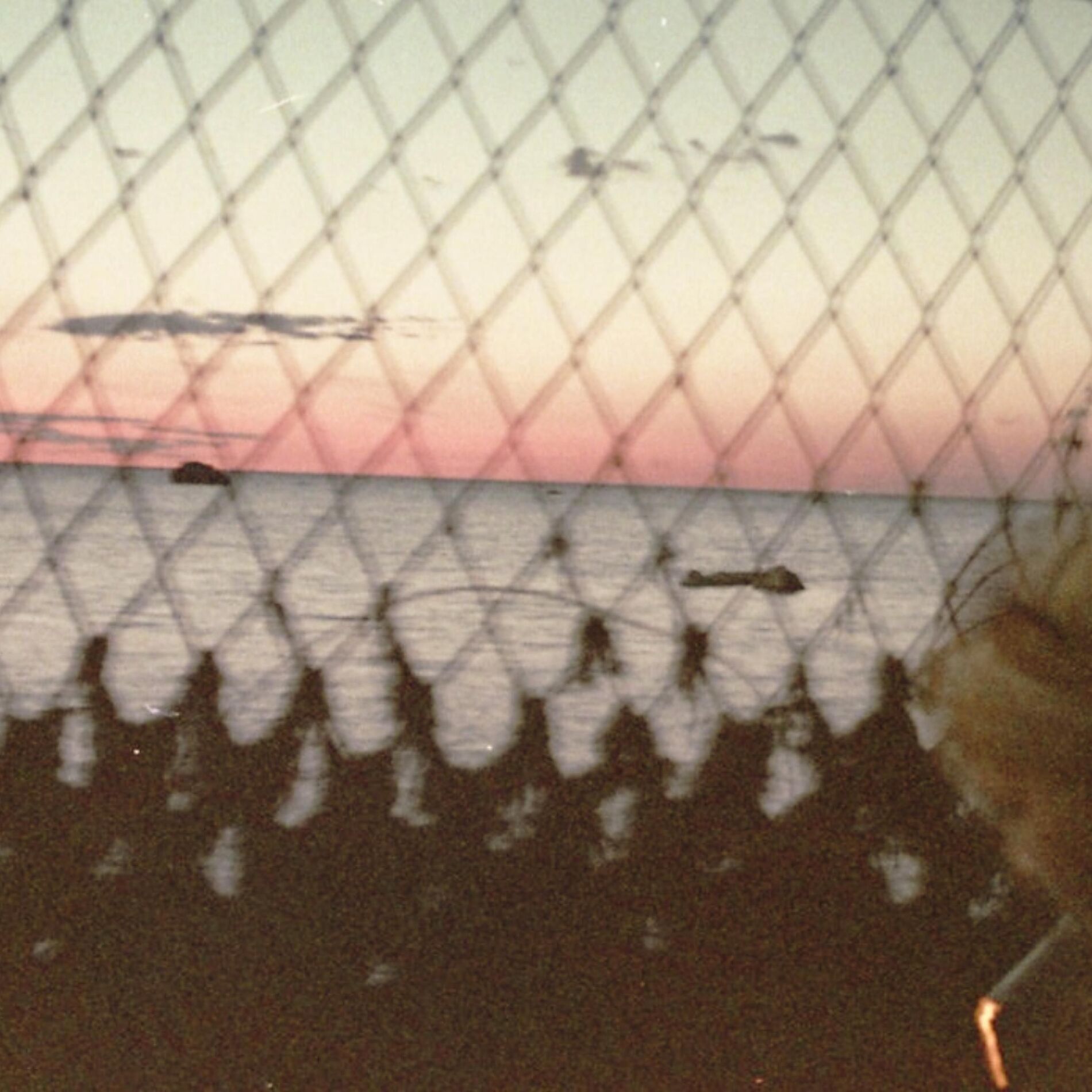 Album cover of Laul