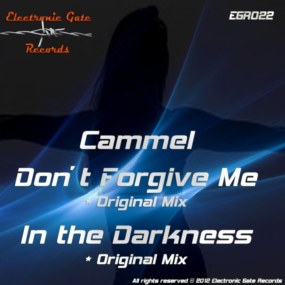 Picture of Don't Forgive Me - In The Darkness