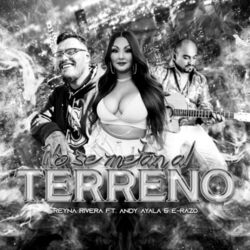Cover of NO SE METAN AL TERRENO