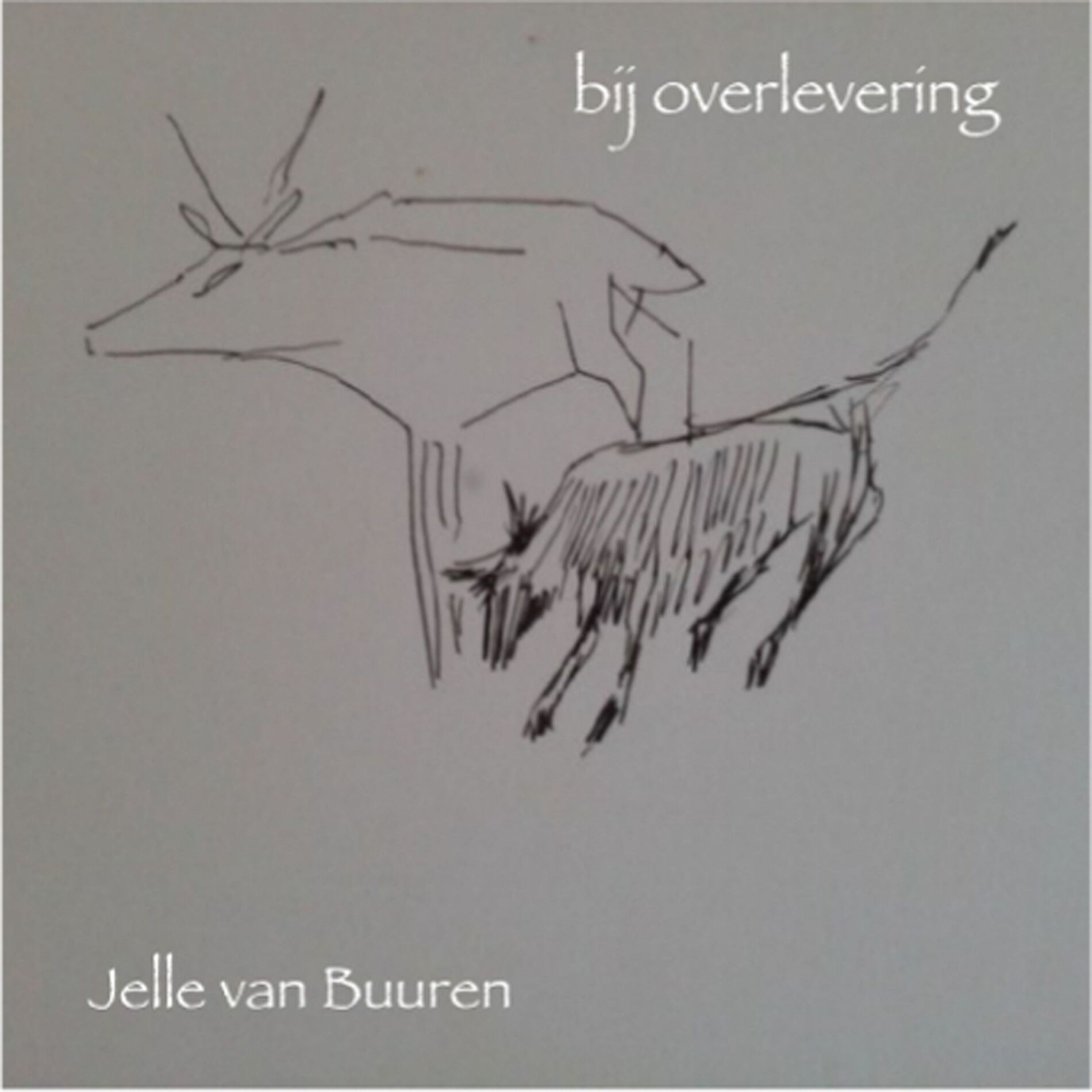 Album cover of Bij Overlevering