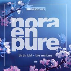 Cover of Birthright (The Remixes)