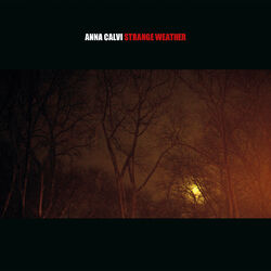 Cover of Strange Weather