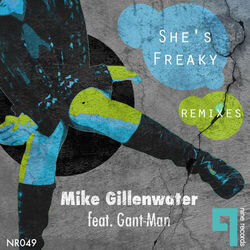 Cover of She's Freaky Remixes