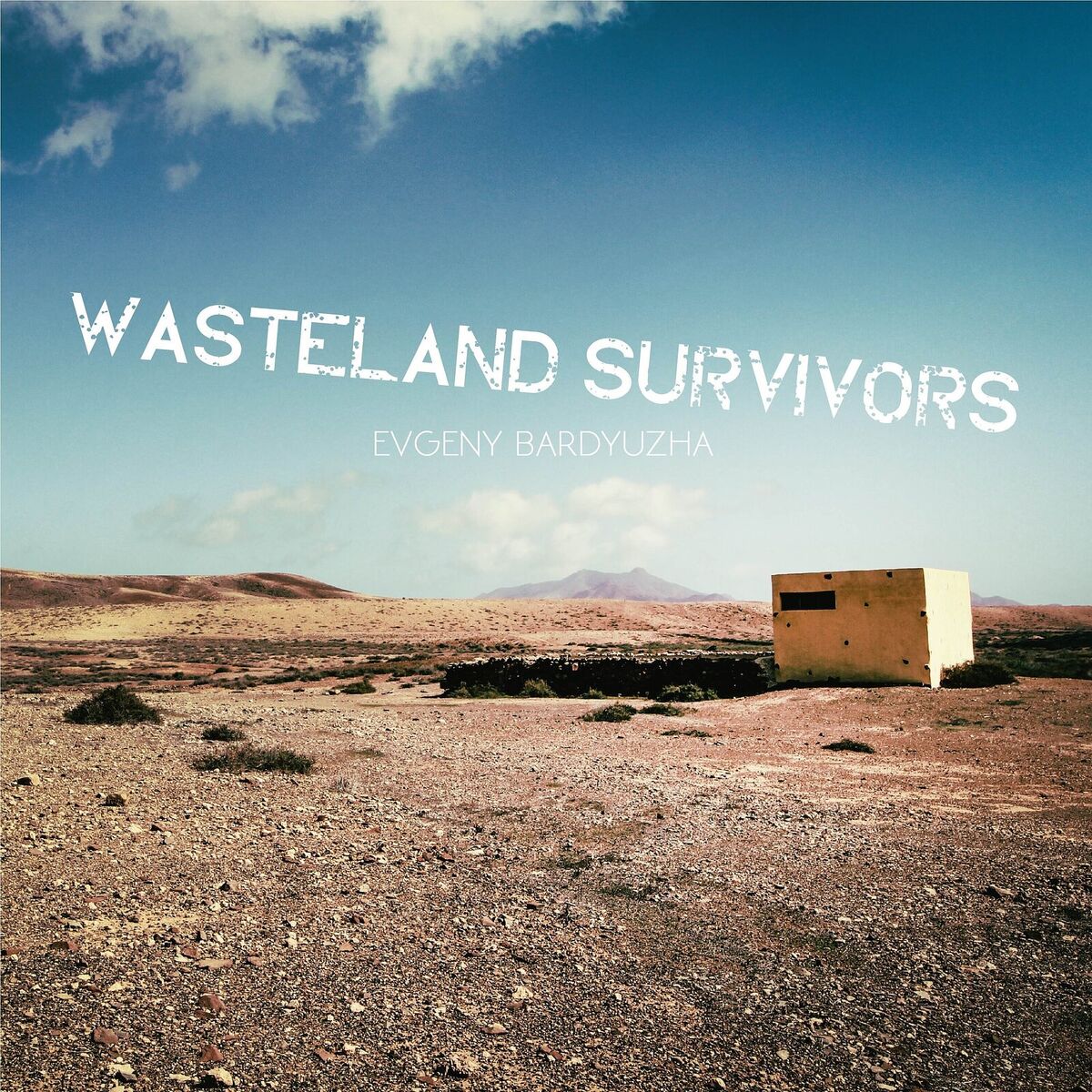 Album cover of Wasteland Survivors