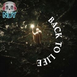 Cover of Back To Life