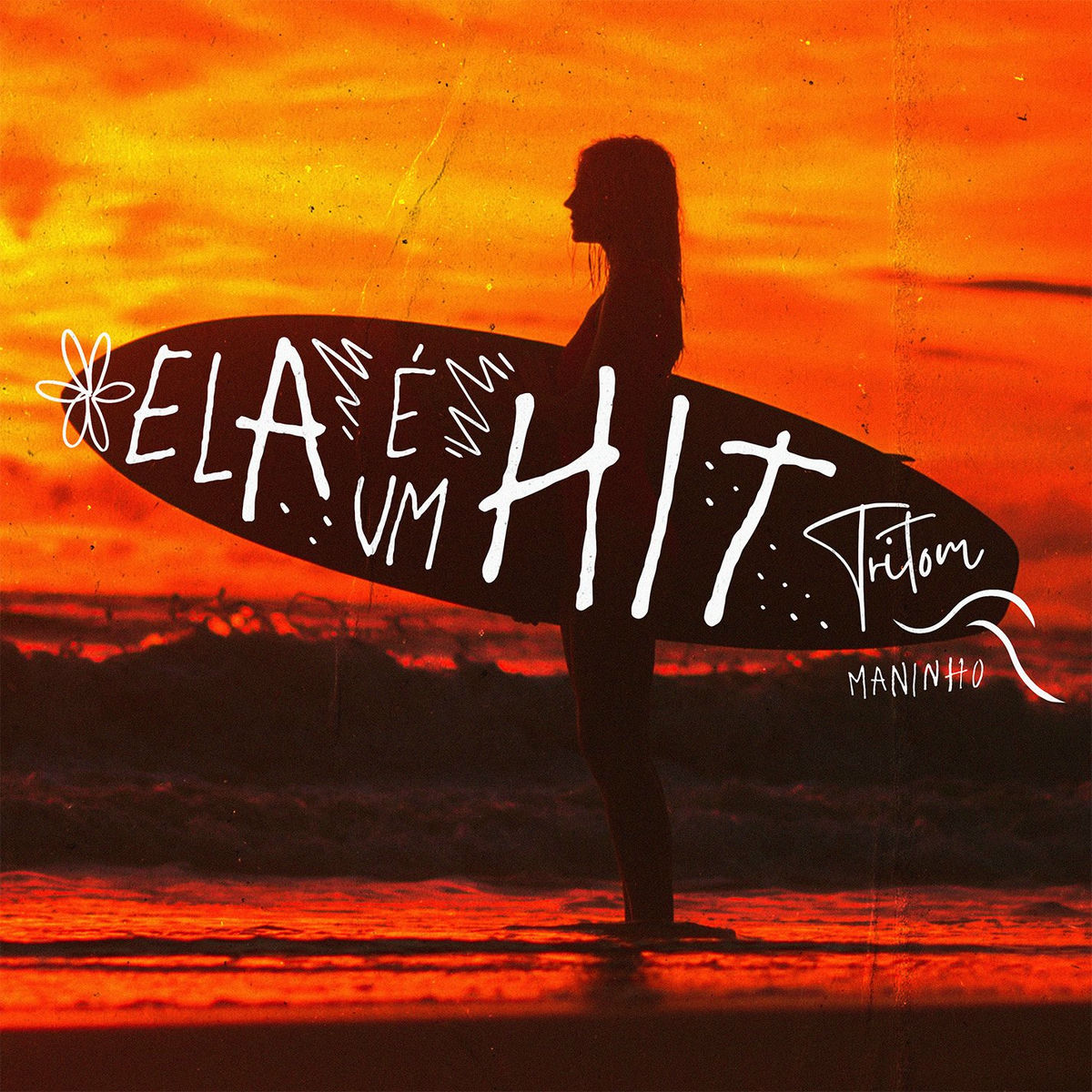 Album cover of Ela é um Hit