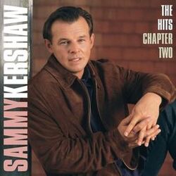 Cover of The Hits Chapter Two
