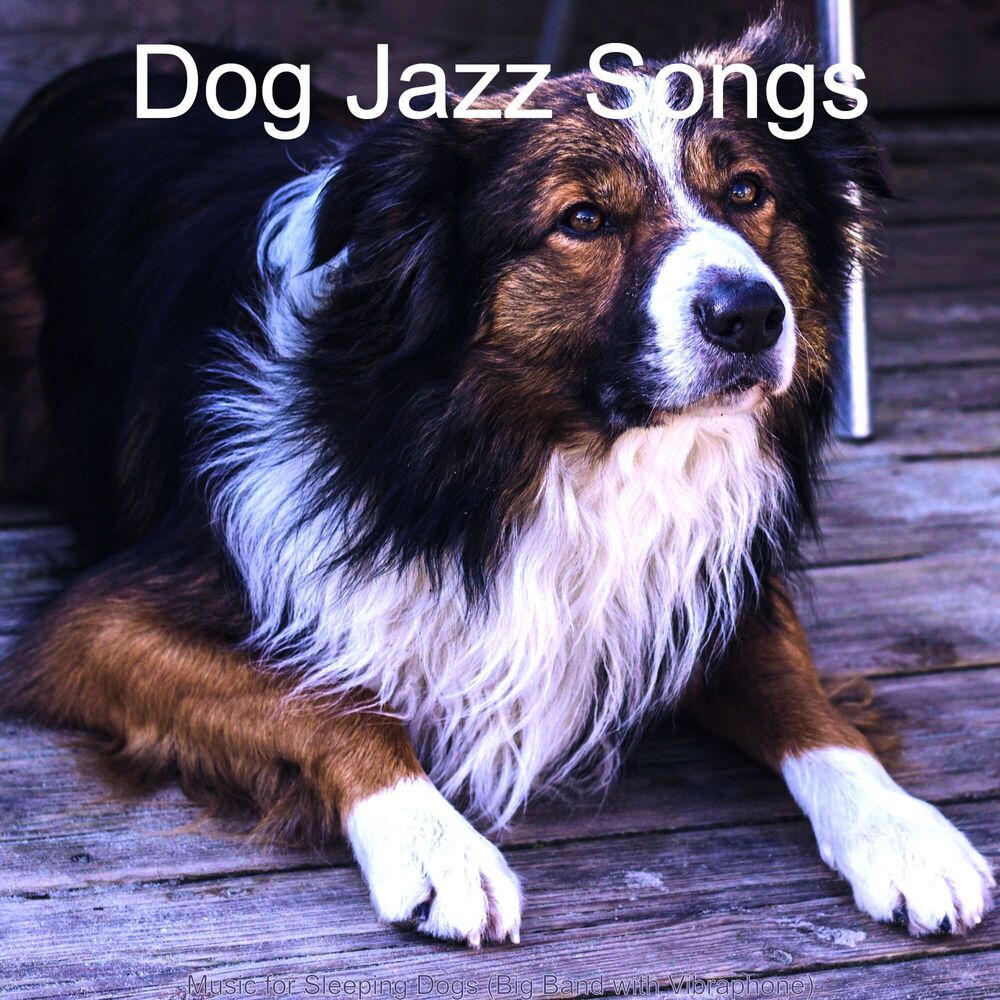 Picture of Music for Sleeping Dogs (Big Band with Vibraphone)