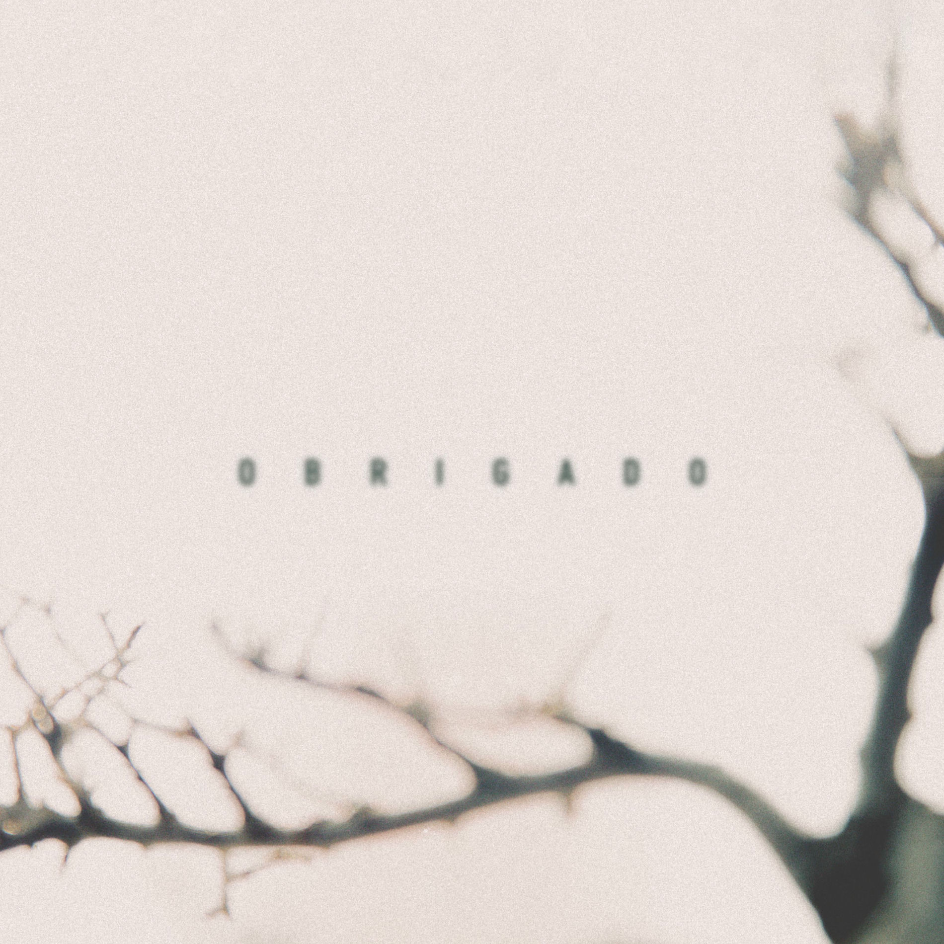 Album cover of Obrigado
