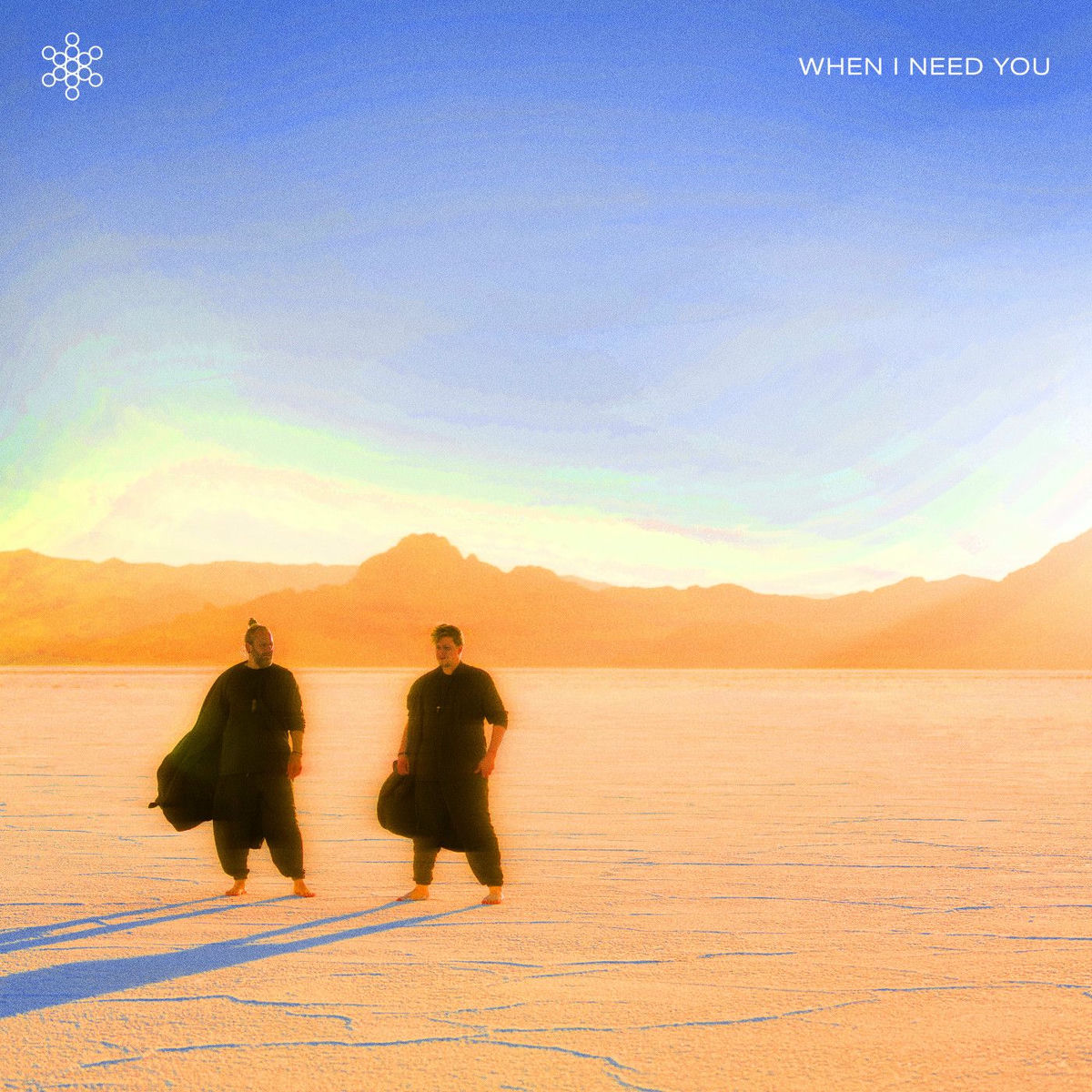 Album cover of When I Need You