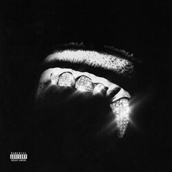 Cover of DJUNGLE UNCHAINED