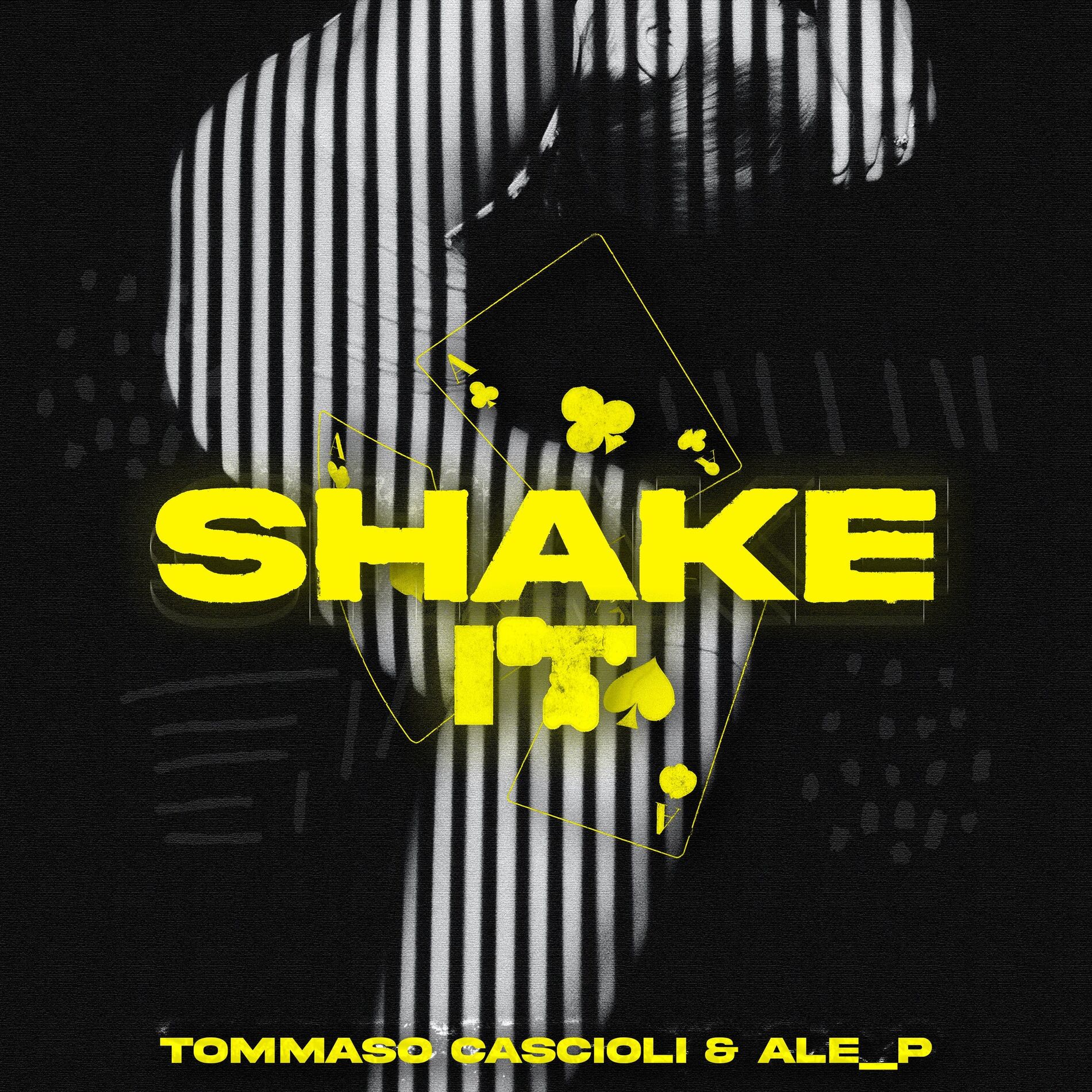 Album cover of Shake It