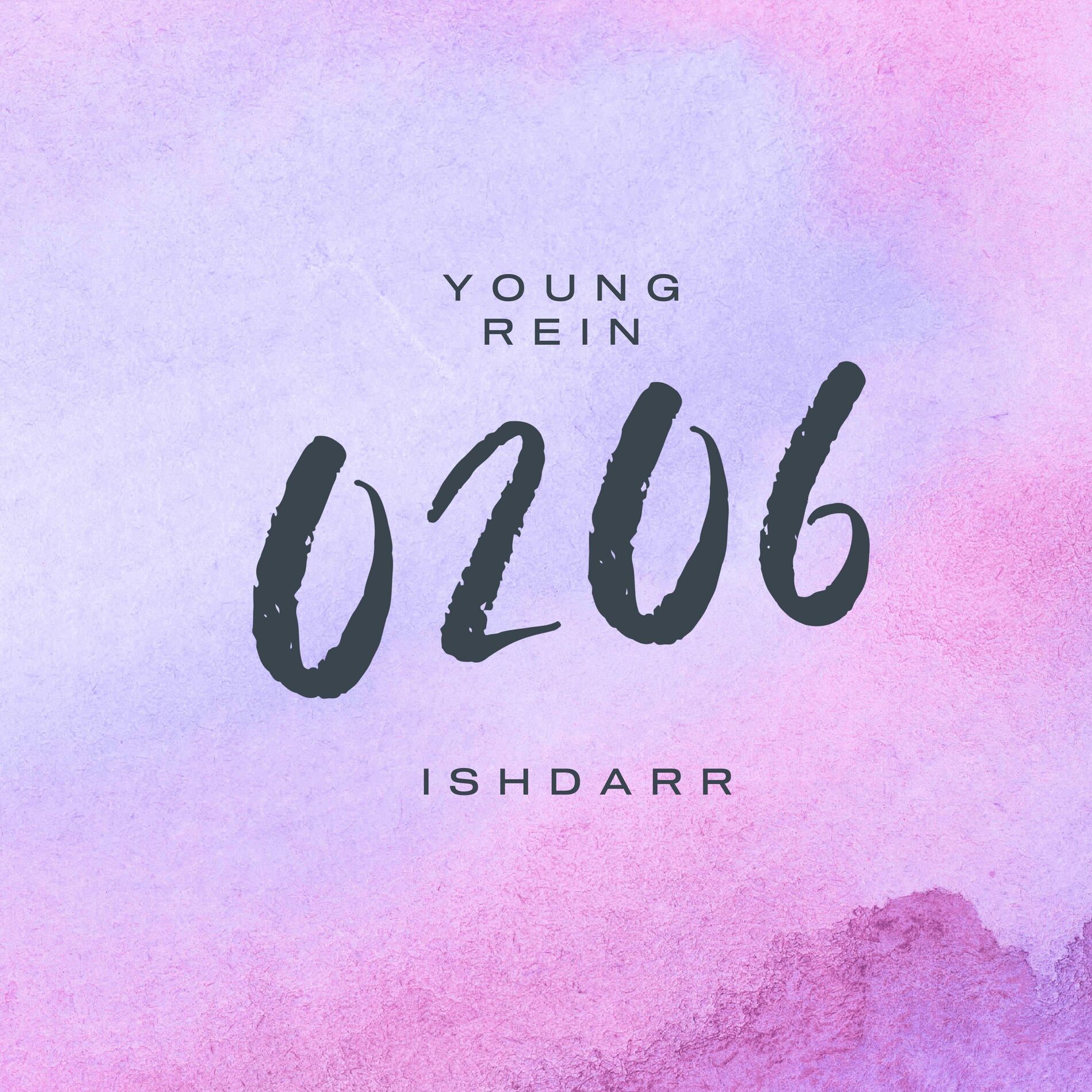 Album cover of 0206 (feat. IshDARR)