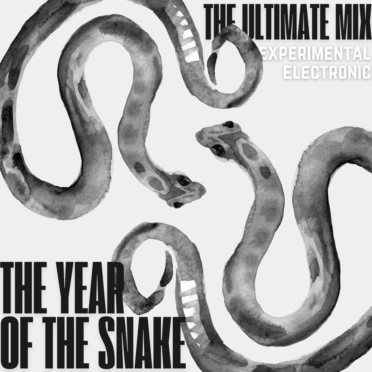 Album cover of The Year of the Snake (The Ultimate Mix: Experimental Electronic)