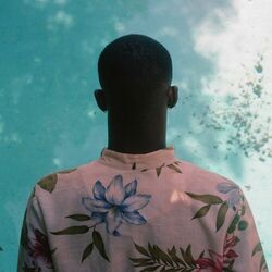 Cover of Technicolor