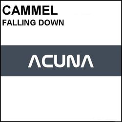 Cover of Falling Down