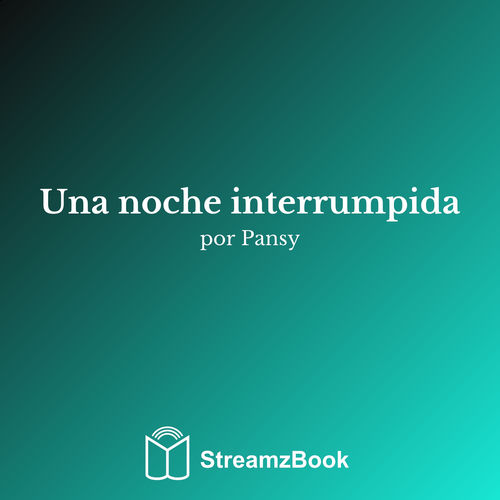Una noche interrumpida