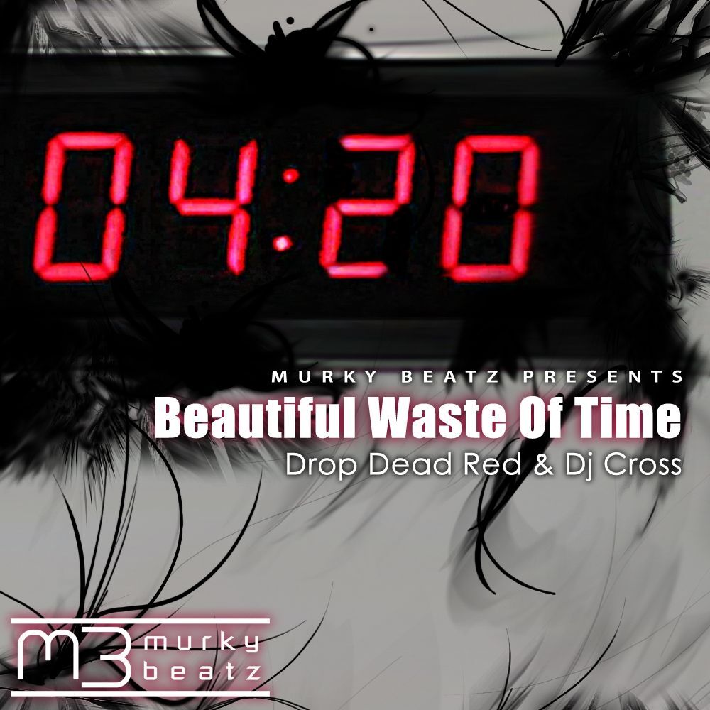 Picture of Beautiful Waste Of Time