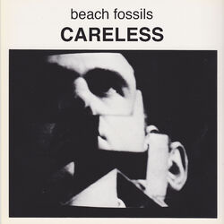Cover of Careless