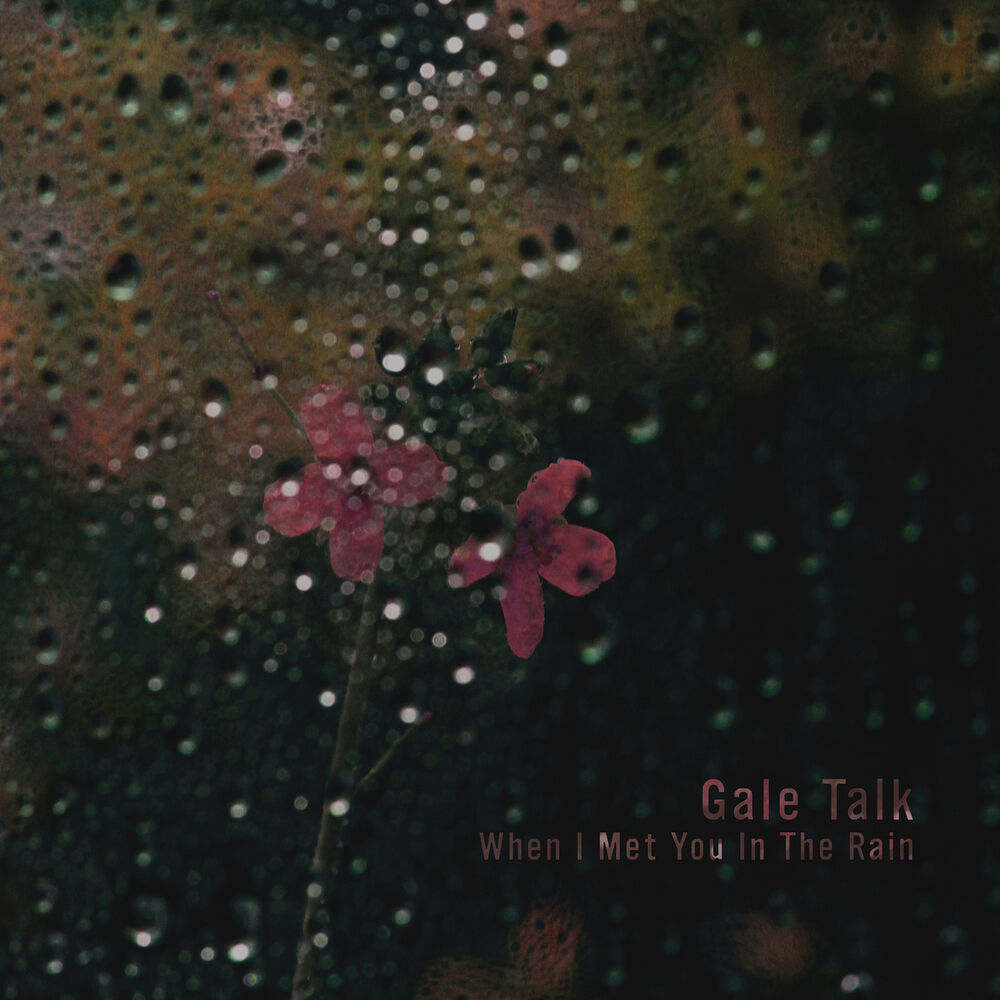 Picture of When I Met You In The Rain