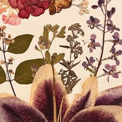 Cover of Silver