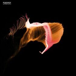 Cover of Luminescence