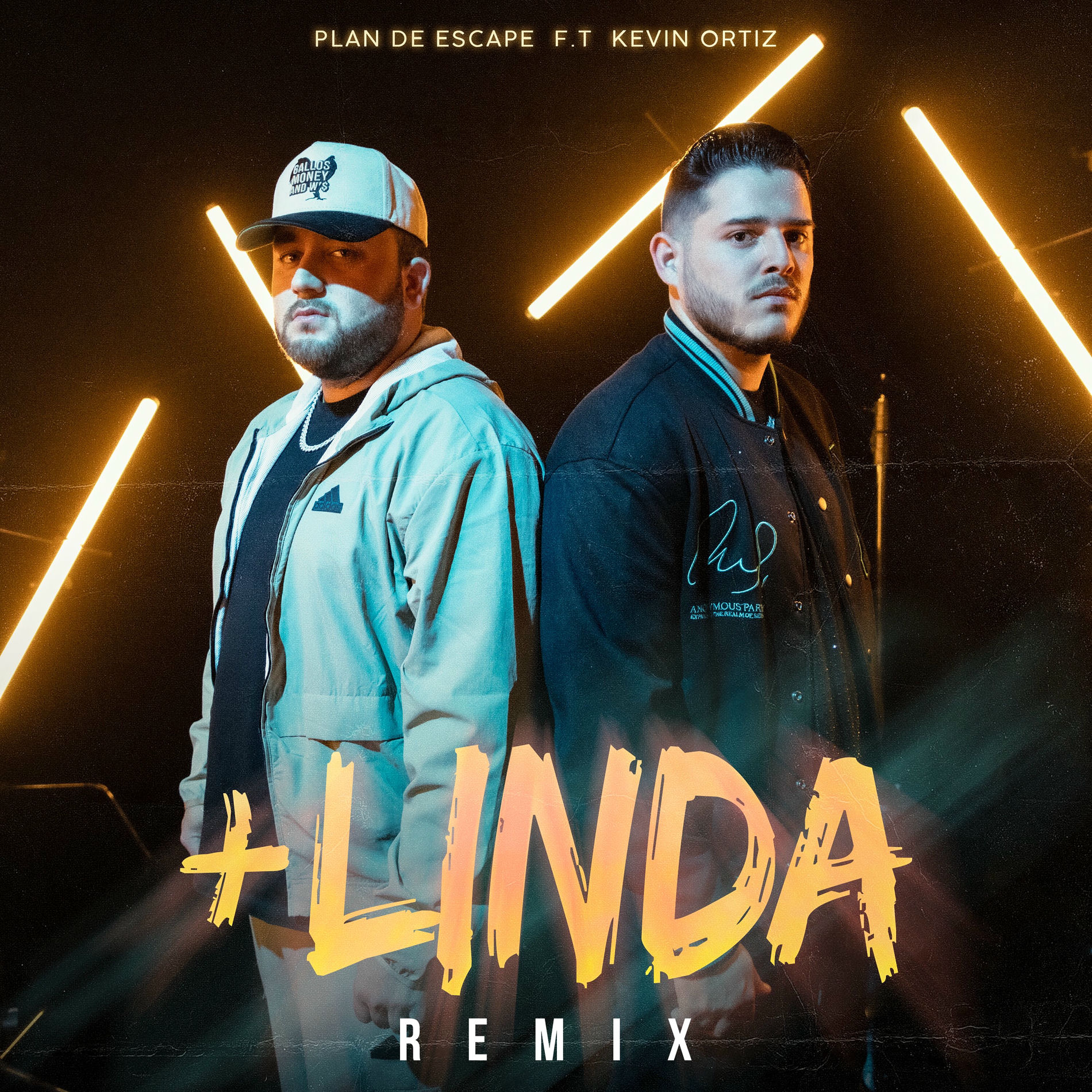 Album cover of +Linda (Remix)