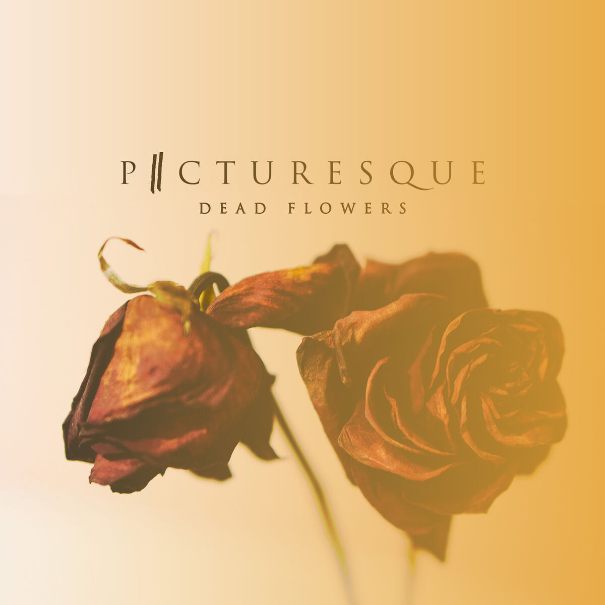 Album cover of Dead Flowers