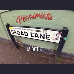 Cover of Pessimistic