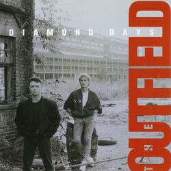 Cover of Diamond Days