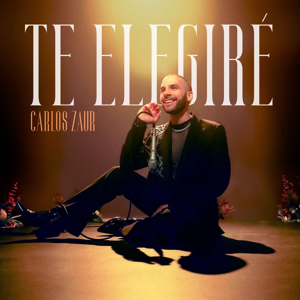 Album cover of Te Elegiré