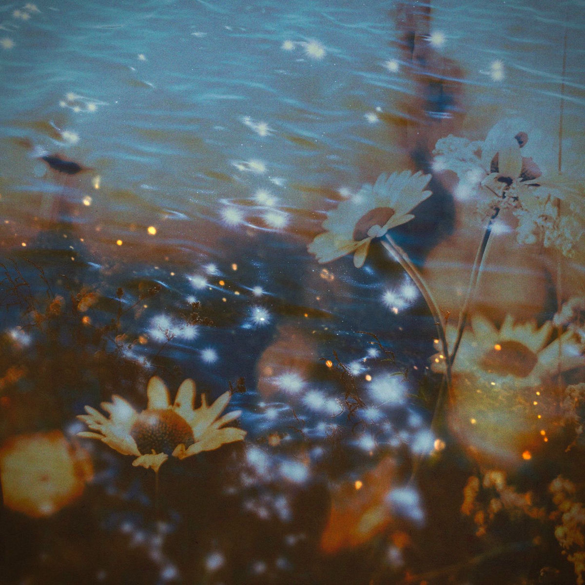 Album cover of Lull