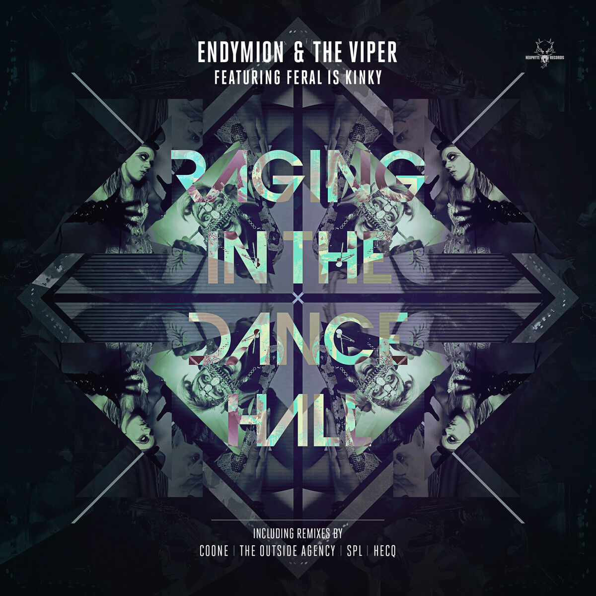 Album cover of Raging in the dancehall