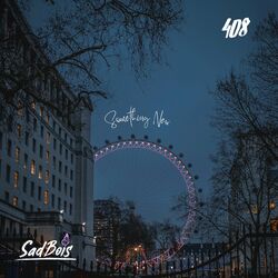 Cover of Something New