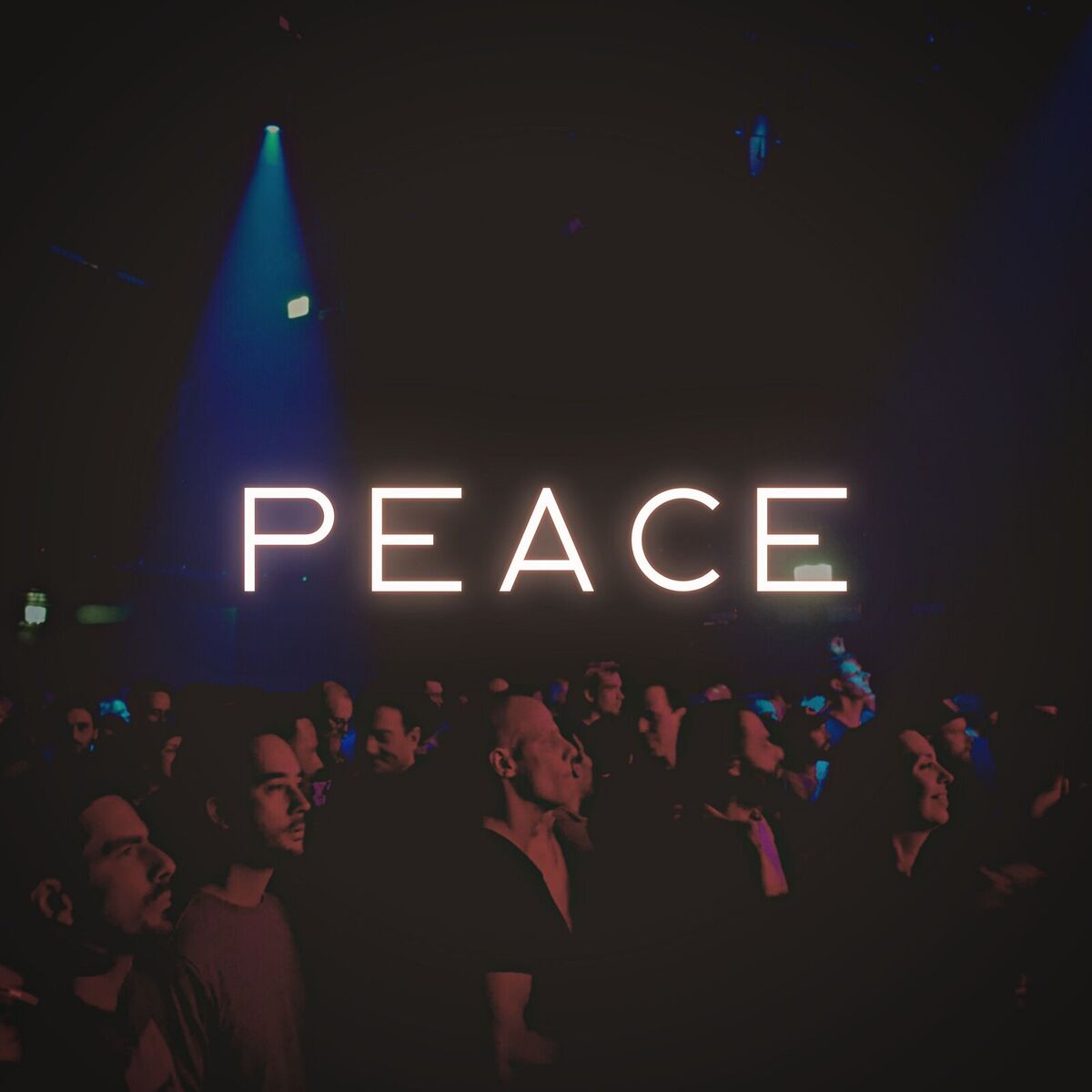 Album cover of Peace