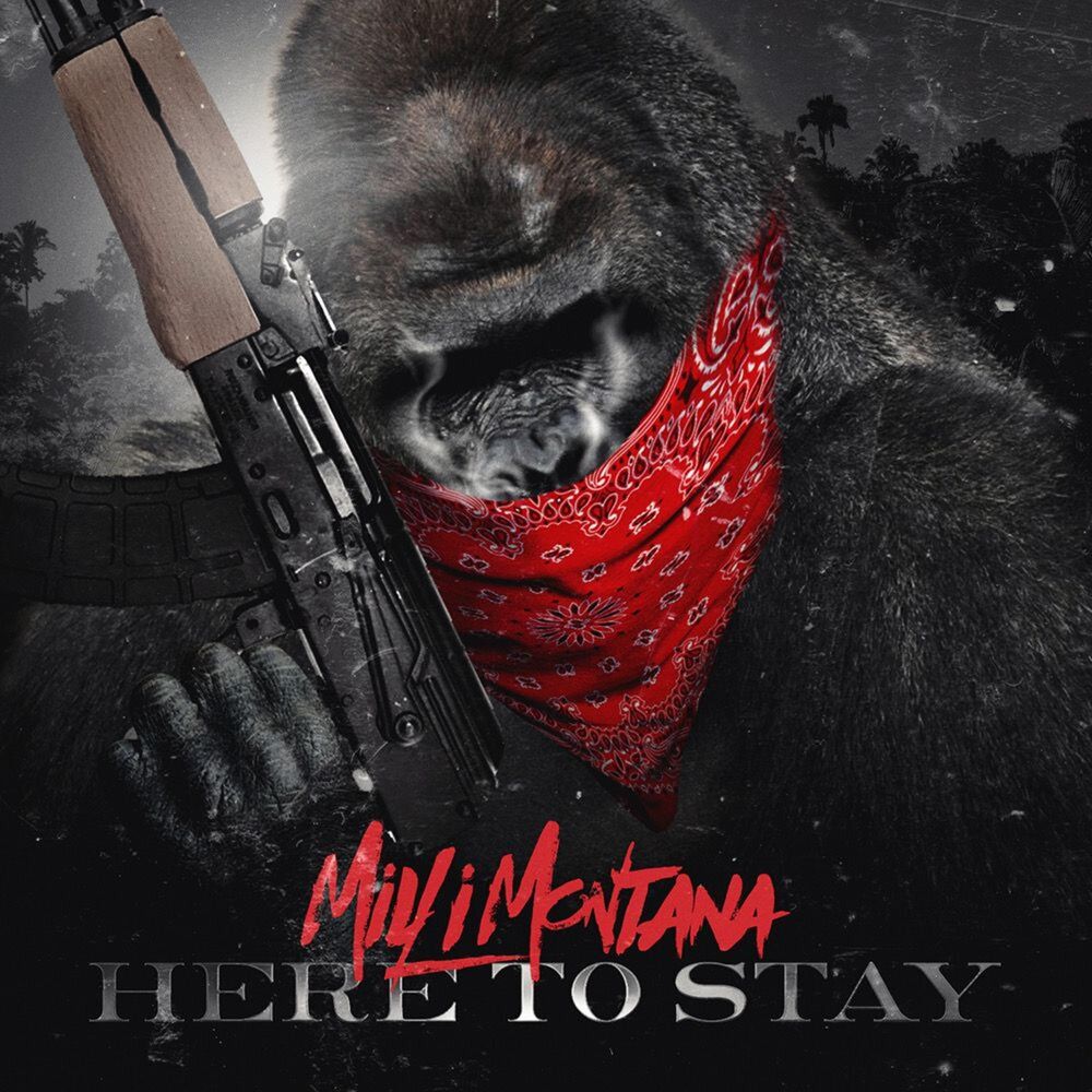 Picture of Here to Stay