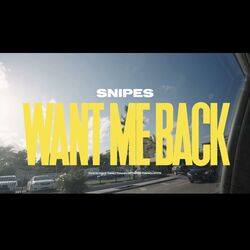 Cover of Want Me Back