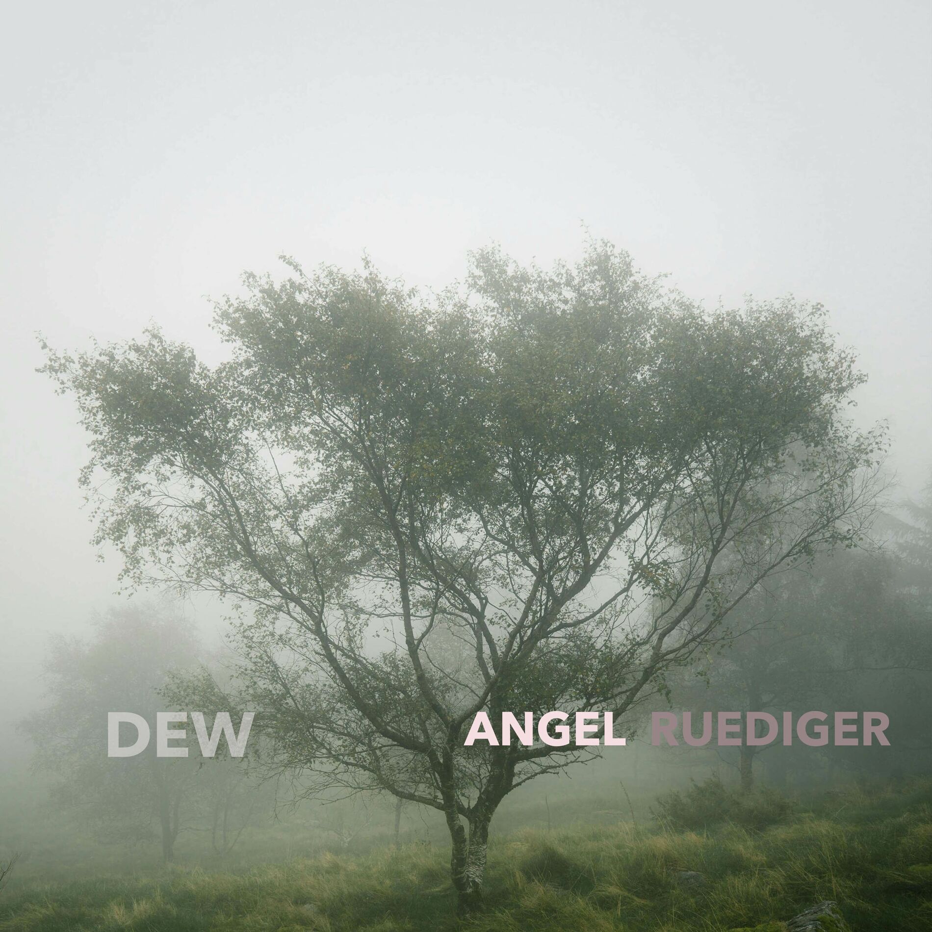 Album cover of Dew