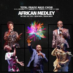 Cover of African Medley : No One Like You / Mon Papa / Fanda Nayo (Live)