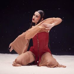 Cover of What Christmas Means to Me
