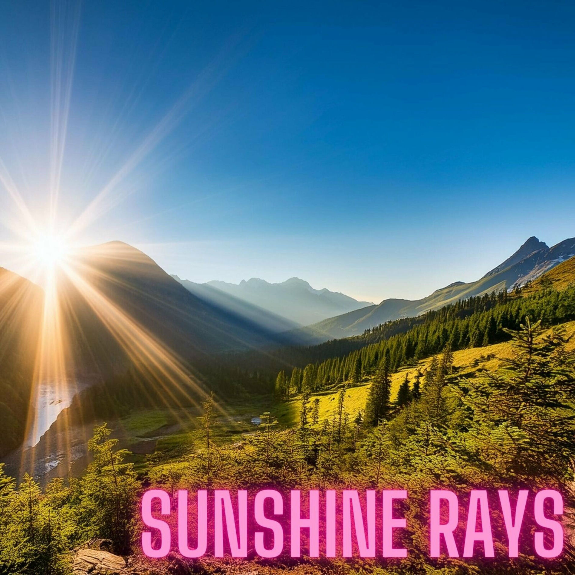 Album cover of Sunshine Rays