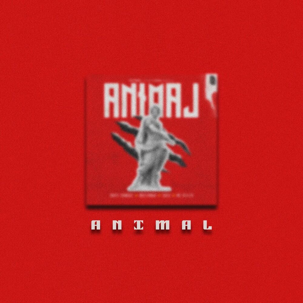 Picture of Animal